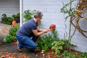 home winterization 